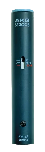 AKG - Micro SE 300 B - Mayenne - Laval - Grand Ouest